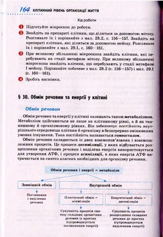/64 КЛІТИННИЙ РІВЕНЬ ОРГАНІЗАЦІЇ ЖИТТЯ
Хід роботи
О П ідготуйте мікроскоп до роботи.
0 Знайдіть на препараті клітини, що діляться за допомогою мітозу.
Розгляньте їх і порівняйте з мал. 28.2, с. 156— 157. Знайдіть на
препараті клітини, як і діляться за допомогою мейозу. Розгляньте
їх і порівняйте з мал. 29.1, с. 160— 161.
© При великому збільш енні мікроскопа знайдіть клітини, я к і пе­
ребувають на стадії метафази мітозу. При великому збільшенні
мікроскопа знайдіть клітини, що перебувають у стадії метафази
І мейозу. Порівняйте побачене з мал. 28.2 (с. 156— 157) і мал. 29.1
(с. 160— 161).
© Зробіть висновки.
§ ЗО. Обмін речовин та енергії у клітині
Обмін речовин
Обмін речовин та енергії у к л іти н і називають також метаболізмом.
М етаболізм здійсню ється не лиш е на кліти н ном у рівні, а й на тк а­
нинному й організмовому рівнях. В ін забезпечує постійність внут­
ріш нього середовища кліти ни й організму в безперервно зміню ваних
умовах існування. Така постійність називається гомеостазом.
Обмін речовин складається із двох взаємопов’язаних і взаємоза­
леж них процесів. Це процеси дисиміляції, у яких відбувається роз­
щеплення органічних речовин і виділена енергія використовується
для утворення АТФ , і процеси асиміляції, в яких енергія А ТФ ви­
трачається на синтез власних необхідних для організму речовин.
Обмін речовин і енергії = метаболізм
Зовнішній обмін
Поглинання
і виділення
речовин
Внутрішній обмін
1'
Пластичний обмін = Енергетичний обмін —
асиміляція дисиміляція
1
Сукупність процесів син­
t
Сукупність процесів
тезу складних органічних розщеплення складних
речовин із простих речовин до простих
(супроводжується (супроводжується
поглинанням енергії) виділенням енергії)
 