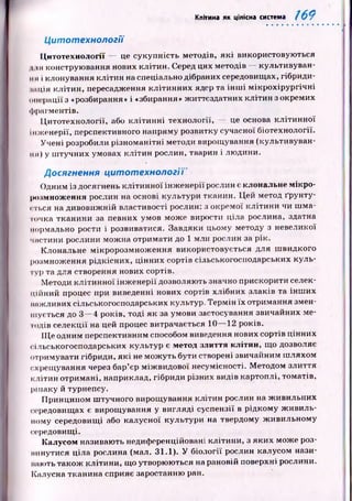 Клітина як цілісна система 169
Цитотехнології — це сукупність методів, я к і використовую ться
і пі конструювання нових клітин. Серед цих методів — культивуван­
ні) і клонування клітин на спеціально дібраних середовищах, гібриди-
іація кліти н, пересадження кліти нн их ядер та ін ш і м ікр охір ургічн і
операції з «розбирання» і «збирання» ж иттєздатних кліти н з окремих
ф рагментів.
Ц итотехнології, або кл іти н н і технології, — це основа к літи н н ої
інж енерії, перспективного напряму розвитку сучасної біотехнології.
Учені розробили різноманітні методи вирощування (культивуван-
іпі) у ш тучних умовах кліти н рослин, тварин і лю дини.
Досягнення цитотехнології'
Одним із досягнень к літи н н ої ін ж енерії рослин є клональне мікро-
імммноження рослин на основі культури тканин. Цей метод ґрунту-
гться на дивовиж ній властивості рослин: з окремої кліти н и чи ш м а­
точка тканини за певних умов може вирости ціла рослина, здатна
нормально рости і розвиватися. Завдяки цьому методу з невеликої
частини рослини мож на отримати до 1 млн рослин за рік.
Клональне мікророзмнож ення використовується для ш видкого
розмноження рідкісних, цінних сортів сільськогосподарських куль­
тур та для створення нових сортів.
Методи кліти н н ої інж енерії дозволяють значно прискорити селек­
ційний процес при виведенні нових сортів хлібних злаків та інш их
пажливих сільськогосподарських культур. Термін їх отримання змен­
шується до 3— 4 років, тоді як за умови застосування звичайних ме­
тодів селекції на цей процес витрачається 10— 12 років.
Щ е одним перспективним способом виведення нових сортів цінних
і ільськогосподарських культур є метод злиття клітин, що дозволяє
отримувати гібриди, я к і не мож уть бути створені звичайним ш ляхом
схрещування через бар’єр між видової несумісності. М етодом злиття
клітин отримані, наприклад, гібриди різних видів картоплі, томатів,
р іп а к у й турнепсу.
Принципом ш тучного вирощ ування клітин рослин на ж ивильних
середовищах є вирощування у вигляді суспензії в рідкому ж иви ль­
ному середовищ і або калусної культури на твердому ж ивильном у
середовищі.
ІСалусом називають недиференційовані кліти ни, з яких може роз­
ітн у ти ся ціла рослина (мал. 31.1). У біології рослин калусом нази-
нають також кліти ни, що утворюються на рановій поверхні рослини.
ІСалусна тканина сприяє заростанню ран.
Цитотехнології
 