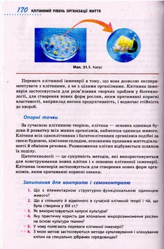 170 КЛІТИННИЙ РІВЕНЬ ОРГАНІЗАЦІЇ ЖИТТЯ
Мал. 31.1. Калус
Перевага кл іти н н о ї ін ж ен ер ії в тому, щ о вона дозволяє експери­
ментувати з клітинам и, а не з ц іли м и організмами. К літинна ін ж е­
нерія застосовується для розв’язання творчих проблем у біотехно-
л огії, для створення нових форм рослин, яким притаманні корисні
властивості, наприклад висока продуктивність, і водночас стій кість
до хвороб.
Опорні точки
За сучасною клітинною теорією, кліти на — основна одиниця бу­
дови й розвитку всіх ж ивих організмів, найменш а одиниця живого.
К л іти н и всіх одноклітинних і багатоклітинних організмів подібні за
своєю будовою, х ім іч н и м складом, основними проявами ж и ттєд іял ь­
ності й обміном речовин. Розмнож ення кл іти н відбувається ш ляхом
їх поділу.
Ц итотехнології — це сукупність методів, я к і використовую ться
для конструю вання нових кл іти н і є основою к л іти н н о ї інж енерії.
К літинна інж енерія застосовується для створення нових форм орга­
нізм ів, яким притаманні корисні ознаки.
Запитання для контролю і самоконтролю
1. Що є елементарною структурно-функціональною одиницею
живого?
2. Що є спільного й відмінного в сучасній клітинній теорії і тій, що
була створена у XIX ст.?
3. Як використовуються калусні культури?
4. Яку практичну користь дає клональне мікророзмноження рослин
на основі культури тканин?
5. У чому полягають переваги клітинної інженерії?
6. З якою метою застосовуються методи культивування і клонування
клітин на спеціально дібраних середовищах?
 