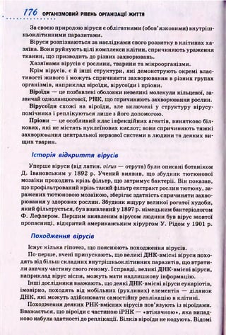 176 ОРГАНІЗМОВИЙ РІВЕНЬ ОРГАНІЗАЦІЇ ЖИТТЯ
За своєю природою віруси є облігатними (обов’язковими) вн утріш ­
ньоклітинним и паразитами.
Віруси розпізнаю ться за наслідками свого розвитку в клітинах ха­
зяїна. Вони руйную ть ц іл і комплекси клітин, спричиняю ть ураження
тканин, щ о призводить до різних захворювань.
Х азяїнам и вірусів є рослини, тварини та мікроорганізми.
К р ім вірусів, є й ін ш і структури, я к і демонструю ть окремі влас­
тивості ж ивого і м ож уть спричинити захворювання в різних групах
організмів, наприклад віроїди, вірусоїди і пріони.
Віроїди — це позбавлені оболонки невеликі молекули кільцевої, за­
звичай одноланцюгової, Р Н К , що спричиняють захворювання рослин.
В ірусоїди сх о ж і на віроїди, але вклю чені у структуру вірусу-
помічника і реплікую ться лиш е з його допомогою.
П ріони — це особливий клас інф екційних агентів, винятково біл­
кових, як і не м істя ть нуклеїнових кислот; вони спричиняю ть тя ж к і
захворювання центральної нервової системи в лю дини та деяких ви­
щ их тварин.
Історія в ід к р и ття вірусів
Уперш е віруси (від латин, virus — отрута) були описані ботаніком
Д . Івановським у 1892 р. Учений виявив, щ о збудник тю тю нової
мозаїки проходить крізь ф ільтр, що затримує бактерії. В ін показав,
що профільтрований крізь такий фільтр екстракт рослин тю тю ну, за­
ражених тю тюновою мозаїкою , зберігає здатність спричиняти захво­
рювання у здорових рослин. Збудник ящ уру великої рогатої худоби,
який ф ільтрується, був виявлений у 1897 р. німецьким бактеріологом
Ф . Лефлером. П ерш им виявленим вірусом лю дини був вірус ж овтої
пропасниці, відкритий американським хірургом У . Рід ом у 1901 р.
Походження вірусів
Існує кілька гіпотез, що поясню ють походження вірусів.
По-перше, вчені припускаю ть, щ о великі Д Н К -в м існ і віруси похо­
дять від більш складних внутріш ньоклітинних паразитів, що втрати­
ли значну частину свого геному. І справді, великі Д Н К -в м існ і віруси,
наприклад вірус віспи, мож уть мати надлиш кову інф ормацію .
Інш і дослідники вважають, що деякі Д Н К -вм існ і віруси еукаріотів,
імовірно, походять від мобільних (рухливих) елементів —■ділянок
Д Н К , я к і мож уть здійсню вати самостійну реплікацію в кліти н і.
Походження деяких РН К -вм існих вірусів пов’язують із віроїдами.
Вваж ається, що віроїди є частиною іР Н К — «втікачкою», яка випад­
ково набула здатності до реплікації. Б іл к ів віроїди не кодують. В ідом і
 