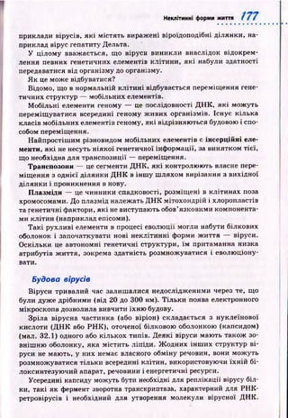 Неклітинні форми життя
приклади вірусів, як і м істять вираж ені віроїдоподібні ділянки , на­
приклад вірус гепатиту Дельта.
У ц ілом у вваж ається, що віруси виникли внаслідок відокрем­
лення певних генетичних елементів кліти н и , я к і набули здатності
передаватися від організму до організму.
Я к це може відбуватися?
Відомо, що в нормальній к л іти н і відбувається переміщ ення гене­
тичних структур — мобільних елементів.
М обільні елементи геному — це послідовності Д ІІК , я к і мож уть
переміщ уватися всередині геному ж ивих організм ів. Існує кілька
класів мобільних елементів геному, як і відрізняю ться будовою і спо­
собом переміщ ення.
Н айпростіш им різновидом мобільних елементів є інсерційні еле­
менти, я к і не несуть н ія ко ї генетичної інф ормації, за винятком тієї,
що необхідна для транспозиції — переміщення.
Транспозони — це сегменти Д Н К , я к і контролю ю ть власне пере­
міщ ення з однієї ділянки Д Н К в інш у ш ляхом вирізання з вихідної
ділянки і проникнення в нову.
Плазміди — це чинники спадковості, розміщ ені в клітинах поза
хромосомами. До плазмід належать Д Н К м ітохондрій і хлоропластів
та генетичні фактори, я к і не виступають обов’язковими компонента­
ми кл іти н (наприклад епісоми).
Т а к і рухливі елементи в процесі еволю ції могли набути білкових
оболонок і започаткувати нові н еклітинні форми ж и ття — віруси.
О скільки це автономні генетичні структури, їм притаманна низка
атрибутів ж и ття, зокрема здатність розмнож уватися і еволю ціону­
вати.
Будова вірусів
В іруси тривалий час залиш алися недослідж еними через те, що
були дуж е дрібними (від 20 до 300 нм). Т іл ьк и поява електронного
мікроскопа дозволила вивчити їхн ю будову.
Зріла вірусна частинка (або віріон) складається з нуклеїнової
кислоти (Д Н К або Р Н К ), оточеної білковою оболонкою (капсидом)
(мал. 32.1) одного або кількох типів. Д еякі віруси маю ть також зо­
вніш ню оболонку, яка м істи ть ліпіди. Ж одних ін ш и х структур в і­
руси не маю ть, у них немає власного обміну речовин, вони мож уть
розмнож уватися тіл ьки всередині клітин, використовую чи їх н ій бі-
локсинтезую чий апарат, речовини і енергетичні ресурси.
Усередині капсиду можуть бути необхідні для реплікації вірусу біл­
ки, такі як фермент зворотна транскриптаза, характерний для РН К-
ретровірусів і необхідний для утворення молекули вірусної Д Н К .
 