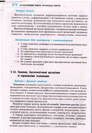 216 ОРГАНІЗМОВИЙ РІВЕНЬ ОРГАНІЗАЦІЇ ЖИТТЯ
Опорні точки
Б агатокл іти н н і еуїсаріоти характеризую ться якісною нерівно­
цінністю клітин, диференціацією і об’єднанням клітин у комплекси
(тканини, органи), залежністю цих комплексів один від одного, на­
явністю онтогенезу. Клітини багатоклітинного організму взаємопов’я­
зані, взаємозалежні і постійно підтримую ть зв’язок одна з одною.
Багатоклітинний організм є цілісною , саморегульованою системою.
До основних принципів його ф ункціональної організації належать:
гомеостаз, ім унологічн а реактивність, саморегуляція, адаптація.
Запитання для контролю і самоконтролю
1. У чому полягають особливості розмноження багатоклітинних орга­
нізмів?
2. У чому полягають переваги статевого розмноження?
3. Які характеристики мають багатоклітинні організми?
4. Як здійснюється взаємодія клітин багатоклітинних організмів?
5. Що являють собою багатоклітинні організми, які не мають справж­
ніх тканин?
6. Які основні принципи структурно-функціональної організації бага­
токлітинних організмів?
§ 42. Тканини. Багатоклітинні організми
зі справжніми тканинами
Будова і функції тканин
Тканиною називають групу клітин, схож их за формою, розмірами,
ф ункціями, походж енням, продуктами своєї ж иттєдіяльності. У всіх
рослин і тварин, за винятком найбільш примітивних, тіло складаєть­
ся із тканин. У вищ их рослин і високоорганізованих тварин тканини
вирізняю ться значною структурно-ф ункціональною різноманітністю
і складністю своїх продуктів. Взаємодію чи одна з одною, різні ткан и­
ни утворюють окремі органи тіла.
Тканини тварин вивчає наука гістологія. Анатомія рослин дослі­
дж ує рослинні тканини. Д ля вивчення тканин учені використовую ть
техніку заморожених зрізів, фазово-контрастну мікроскопію , гісто­
х ім іч н и й аналіз, культивування тканин, електронну мікроскопію .
У тварин виділяю ть епітеліальну, сполучну, м ’язову і нервову
тканини. У рослин вирізняю ть твірну, покривну, основну, провідну,
механічну та ін ш і тканини.
Будова тканин тісно пов’язана з їх н ім и ф ункціями. Ц ей взаємо­
зв’язок простежується і у тваринних, і у рослинних тканин.
 