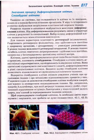 Багатоклітинні організми. Взаємодія клітин. Тканини
Значення процесу диференціювання клітин.
Стовбурові клітини
Тканини як системи, що складаю ться із кл іти н та їх похідних,
виникли з появою багатоклітинних організмів. У м іру іх історичного
розвитку відбувалося закріплення властивостей окремих тканин.
Розвиток тканин в онтогенезі відбувається внаслідок диференці­
ювання к літи н . Під диференціюванням розумію ть зм іни у структурі
кліти н у результаті їх спеціалізації. Вибір ш ляху диф еренціації к л і­
тин визначається м іж к л іти н н о ю взаємодією.
Д ля тканин характерна властивість регенерації (відновлення).
Розрізняю ть регенерацію ф ізіологічну, яка здійсню ється постійно
у здоровому орган ізм і, і репаративну унаслідок уш кодж ення.
У різних тканин мож ливості регенерації неоднакові. У деяких тканин
загибель к л іти н генетично запрограмована і здійсню ється постійно,
наприклад у багатошаровому зроговілому еп ітелії ш кіри.
К літи н и, здатні трансформуватися в різні типи біологічних тканин
в організмі, називають стовбуровими. Стовбурові кліти н и маю ть де­
я к і спільні характеристики, що відрізняю ть їх від ін ш их клітин. Нони
здатні самі підтримувати свої властивості і якості, диференціювати^я
в р ізні спеціалізовані кліти н и . Завдяки цьому стовбурові кліти ни
дозволяють відновлювати всі ф ункціональні елементи тканини.
В ідкри ття стовбурових кл іти н змінило уявлення учених про ор­
ганізацію тканин і про механізми відновлювальних процесів у них.
З ’явилася надія за допомогою стовбурових кліти н позбутися хвороб,
пов’язаних із незворотним пош кодж енням тканин. Це, наприклад,
хвороба Альцгеймера, при я к ій деградує тканина мозку; діабет, спри­
чинений поруш енням острівців Лангерганса у підш лунковій залозі,
цироз, пов’язаний із переродженням тканини печінки.
Щ об пересаджувати стовбурові клітини, їх необхідно вм іти виро­
щувати і вирізняти, але зробити це дуж е складно (мал. 42.1, 42.2).
Мал. 42.1. Стовбурові клітини Мал. 42.2. Вирощування стовбурових клітин
 