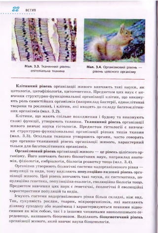 22 ВСТУП
Мал. 3.3. Тканинний рівень: Мал. 3.4. Організмовий рівень —
епітеліальна тканина рівень цілісного організму
К л іти н н и й рівень ор ганізац ії ж ивого вивчаю ть та к і науки, як
цитологія, цитоф ізіологія, цитогенетика. Предметом цих наук є ви­
вчення структурно-ф ункціональної ор ганізації клітин, що викону­
ють роль самостійних організмів (наприклад бактерії, одноклітинні
тварини та рослини), і кліти н, я к і входять до складу багатоклітин­
них організмів (мал. 3.2).
К л іти н и , щ о маю ть спільне походж ення і будову та виконую ть
схож і ф ункції, утворю ю ть тканини. Тканинний рівень організації
ж ивого вивчає наука гістол огія. П редметом гіс то л о гії є вивчен­
ня структурно-ф ункціональної ор ган ізац ії р ізни х ти п ів тканин
(мал. 3.3). О скільки тканини утворю ю ть органи, часто говорять
про органно-тканинний рівень ор ган ізац ії ж ивого, характерний
тіл ьки для багатоклітинних організмів.
О рганізмовий рівень організації ж ивого — це рівень цілісного ор­
ганізму. Його вивчають багато біологічних наук, наприклад анато­
м ія, ф ізіологія, ембріологія, біологія розвитку тощ о (мал. 3.4).
Організми утворюють біологічні системи надорганізмового рівня —
популяції та види, тому виділяють популяційно-видовий рівень орга­
н ізації живого. Цей рівень вивчають такі науки, як систематика, по­
пуляційна генетика, популяційна екологія, еволюційна біологія тощо.
Предметом вивчення цих наук є генетичні, екологічні й еволю ційні
характеристики популяцій та видів.
Існують системи надорганізмового рівня більш складні, н іж вид.
Так, сукупність рослин, тварин, м ікроорганізм ів, я к і населяють
ділянку суходолу або водоймищ і характеризуються певними відно­
синами як м іж собою, так і з інш им и чинниками навколишнього се­
редовища, називають біоценозом. В иділяю ть біоценотичний рівень
організації живого, який вивчає наука біоценологія.
 
