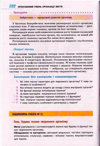 222 ОРГАНІЗМОВИЙ РІВЕНЬ ОРГАНІЗАЦІЇ ЖИТТЯ
Пригадайте ....................................................
Ембріогенез — зародковий розвиток організму.
У багатьох безхребетних мож лива регенерація цілого організму
з частини тіла. У високоорганізованих тварин це неможливо — реге­
нерують лиш е окремі тканини, органи чи їх н і частини.
Регенерація може здійсню ватися ш ляхом росту тканин на рановій
поверхні, перебудови частини органа, що залиш илася, на новий або
ш ляхом росту залиш ку органа без зм іни його форми.
Регенерація залеж ить від рівня організації тварини і від багатьох
ін ш и х чинників.
Опорні точки
В організм і тварин існую ть чотири типи тканин: епітеліальна,
сполучна, м ’язова й нервова. Епітеліальна тканина виконує покрив­
ну, захисну й секреторну ф ункції. О сновними ф ункціям и сполуч­
ної тканини є троф ічна (живильна) й опорна. М ’язова тканина здій­
снює рухові процеси в організмі тварин і лю дини. Нервова тканина
складається із нервових кліти н — нейронів, що утворюють нервову
систему — основну регуляторну систему тваринного організму.
Запитання для контролю і самоконтролю
1- Які типи тканин характерні для тваринного організму? У чому по­
лягають їх особливості?
2. Яка м'язова тканина входить до складу стінок внутрішніх органів?*
З- Які функції виконує епітеліальна тканина?
4. За яким критерієм поєднуються сполучні тканини?
5. Як структура нервової тканини пов'язана з її функцією?
6. Чим сполучні тканини відрізняються від епітеліальних?
7. у чому полягають особливості регенерації у тварин?
Л А Б О Р А Т О Р Н А Р О Б О Т А № 12
Тема. Будова тканин тваринного організму
Мета: узагальнити і систематизувати знання про будову та функції тка­
нин тваринного організму.
Обладнання та матеріали: світловий мікроскоп, постійні препарати
епітеліальної, сполучної, нервової і м'язової тканин; мікрофотографії
цих тканин.
 