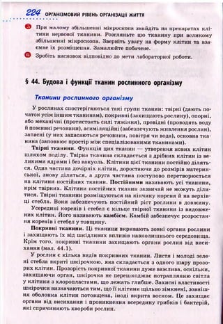 224 ОРГАНІЗМОВИЙ РІВЕНЬ ОРГАНІЗАЦІЇ ЖИТТЯ
© При малому збільш енні мікроскопа знайдіть на препаратах к л і­
тини нервової тканини. Розгляньте цю тканину нри великому
збільш енні мікроскопа. Зверніть увагу на форму клітин та вза­
ємне їх розміщ ення. Замалю йте побачене.
© Зробіть висновок відповідно до мети лабораторної роботи.
§ 44. Будова і функції тканин рослинного організму
Тканини рослинного організму
У рослинах спостерігаю ться такі групи тканин: тв ір н і (дають по­
чаток усім ін ш и м тканинам), покривні (захищ ають рослину), опорні,
або механічні (протистоять силі тяж інн я), провідні (проводять воду
й пож ивні речовини), аси м іляційн і (забезпечують ж ивлення рослин),
запасні (у них запасаються речовини, повітря чи вода), основна тк а ­
нина (заповнює простір м іж спеціалізованими тканинами).
Твірні тканини. Ф у н к ц ія цих тканин — утворення нових кліти н
ш ляхом поділу. Твірна тканина складається з дрібних кл іти н із ве­
ли ки м и ядрами і без вакуоль. К л іти н и ц ієї тканини постійно д іл ять­
ся. Одна частина дочірніх кліти н, доростаючи до розмірів материн­
ської, знову ділиться, а друга частина поступово перетворюється
на кліти н и постійних тканин. Постійними називають усі тканини,
к р ім твірних. К л іти н и постійних тканин зазвичай не мож уть д іл и ­
тися. Т вір н і тканини розміщ ую ться на кін чи ку кореня й на верхів­
ц і стебла. Вони забезпечують постійний р іст рослини в довж ину.
Усередині коренів і стебел є кільце твірної тканини із видовже­
них кліти н. Його називають камбієм. К ам бій забезпечує розростан­
ня коренів і стебел у товщ ину.
Покривні тканини. Ц і тканини вкриваю ть зовні органи рослини
і захищ аю ть їх від ш кідливих впливів навколиш нього середовища.
К р ім того, покривні тканини захищ аю ть органи рослин від виси­
хання (мал. 44.1).
У рослин є кілька видів покривних тканин. Л истя і молоді зеле­
н і стебла вкриті ш кірочкою , яка складається з одного ш ару прозо­
рих кліти н . Прозорість покривної тканини дуже важлива, оскільки,
захищ аю чи орган, ш кірочка не переш коджає потраплянню світла
у кліти ни з хлоропластами, що леж ать глибше. Захисні властивості
ш кірочки визначаються тим, що її кліти н и щ ільно зім кнені, зовніш ­
ня оболонка к л іти н потовщена, ін оді вкрита воском. Ц е захищ ає
органи від висихання і проникнення всередину грибків і бактерій,
я к і спричиняю ть хвороби рослин.
 