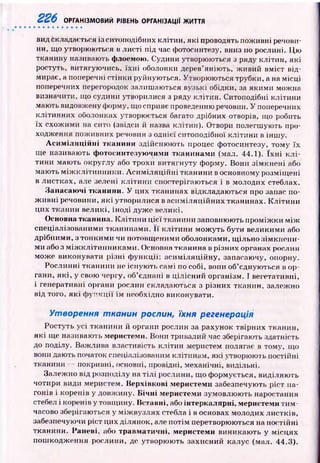 226 ОРГАНІЗМОВИЙ РІВЕНЬ ОРГАНІЗАЦІЇ ЖИТТЯ
вид бкладається із ситоподібних клітин, які проводять поживні речови­
ни, що утворюються в листі під час фотосинтезу, вниз по рослині. Цю
тканину називають флоемою. Судини утворюються з ряду клітин, які
ростуть, витягуючись, їх н і оболонки дерев’яніють, живий вміст від­
мирає, а поперечні стінки руйнуються. Утворюються трубки, а на місці
поперечних перегородок залишаються вузькі обідки, за якими можна
визначити, що судини утворилися з ряду клітин. Ситоподібні клітини
мають видовжену форму, що сприяє проведенню речовин. У поперечних
клітинних оболонках утворюється багато дрібних отворів, що робить
їх схож ими на сито (звідси й назва клітин). Отвори полегшують про­
ходження поживних речовин з однієї ситоподібної клітини в інш у.
Асиміляційні тканини здійсню ю ть процес фотосинтезу, тому їх
ще називають фотосинтезуючими тканинами (мал. 44.1). їх н і к л і­
тини маю ть округлу або трохи витягнуту форму. Вони зім кнені або
мають м іж к л іти н н и к и . А си м іл я ц ій н і тканини в основному розміщ ені
в листках, але зелені кліти н и спостерігаю ться і в молодих стеблах.
Запасаючі тканини. У цих тканинах відкладаються про запас по­
ж ивні речовини, я к і утворилися в асим іляційних тканинах. К літи н и
цих тканин великі, іноді дуж е великі.
Основна тканина. К літи н и ц ієї тканини заповнюють п ром іж ки м іж
спеціалізованими тканинами. Її кліти ни мож уть бути великими або
дрібними, з тонким и чи потовщ еними оболонками, щ ільно зім кнен и­
ми або з м іж кліти н н и кам и . Основна тканина в різних органах рослин
може виконувати різні ф ункції: асим іляційну, запасаючу, опорну.
Рослинні тканини не існую ть самі по собі, вони об’єднуються в ор­
гани, я к і, у свою чергу, об’єднані в ц ілісн ий організм. І вегетативні,
і генеративні органи рослин складаються з різних тканин, залежно
від того, як і ф ун к ц ії їм необхідно виконувати.
Утворення тканин рослин, їхня регенерація
Ростуть усі тканини й органи рослин за рахунок твірних тканин,
я к і ще називають меристеми. Вони тривалий час зберігають здатність
до поділу. Важлива властивість клітин меристем полягає в тому, що
вони дають початок спеціалізованим клітинам, які утворюють постійні
тканини — покривні, основні, провідні, механічні, видільні.
Залежно від розподілу на тіл і рослини, що формується, виділяю ть
чотири види меристем. Верхівкові меристеми забезпечують ріст па­
гонів і коренів у довжину. Бічні меристеми зумовлю ю ть наростання
стебел і коренів у товщ ину. Вставні, або інтеркалярні, меристеми ти м ­
часово зберігаються у між вузлях стебла і в основах молодих листків,
забезпечуючи ріст цих ділянок, але потім перетворюються на постійні
тканини. Ранені, або травматичні, меристеми виникаю ть у місцях
пош кодж ення рослини, де утворю ю ть захисний калус (мал. 44.3).
 