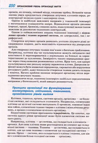 220 ОРГАНІЗМОВИЙ РІВЕНЬ ОРГАНІЗАЦІЇ ЖИТТЯ
органів, як сечовід, сечовий м іхур, киш кова трубка. О станнім часом
значна увага приділяється створенню ш тучних клапанів серця, ре­
конструкції великих судин і капілярних сіток.
Одним із найбільш важ ливих напрямів у ткан и н н ій ін ж ен ер ії
є виготовлення еквівалентів ш кіри. Відновлення органів дихання
(гортані, трахеї, бронхів), слинних залоз, підш лункової залози також
можливе за допомогою тканинних конструкцій.
Одним із найваж ливіш их завдань тканинної ін ж енерії є віднов­
лення органів і тканин нервової системи, як центральної, так і пе­
риферичної.
Створення ш тучних органів дозволить успіш но лікувати р ізн і за­
хворювання лю дини, дасть м ож ливість відмовитися від донорських
органів.
Але створення ш тучних тканин пов’язане з багатьма проблемами.
Наприклад, кл іти н и під час культивування м ож уть зміню вати свої
властивості й перетворюватися з нормальних на близькі за харак­
теристиками до пухлинних. Ім овірність такого переродження зрос­
тає через стимулю вання розмноження клітин. К р ім того, сам процес
культивування має реальну загрозу зараження клітин. Джерелом ін ­
ф екції мож уть бути ж иви льні середовища, сироватки або поруш ення
регламенту робіт, адже технологія створення тканин досить складна
і копітка. Багато проблем виникає всередині організму після пере­
садження ш тучних тканин.
Незважаючи на це, тканинна інж енерія є найбільш перспективним
напрямом у біотехнології, який ш видко розвивається.
Принципи організації т а функціонування
молекулярного, клітинного, тканинного,
організмового рівнів ж и т т я
К літи ни, тканини, органи, системи органів, організми — це біоло­
гіч н і системи, я к і складаються з елементів. Наприклад, елементами
кліти ни як цілісн ої системи виступають її органели, взаємозв’язані
мілс собою, елементами тканин тварин є к літи н и і м іж к л іти н н а речо­
вина, а органи є елементами цілісного організму.
Б іологічним системам притаманна ієрархічність. Це означає, що
система одного рівня організації може бути елементом системи ви­
щого рангу.
Наприклад, кліти на — це система, що складається з елементів —
органел. Але сама клітина може розглядатися як елемент ще склад­
н іш о ї системи тканини. Тканина — це система, щ о складається із
кліти н, але ця сама тканина є елементом ще складніш ої системи —
органа. Орган — система, яка складається із кліти н і тканин, але він
ж е є елементом більш складної системи — організму.
 