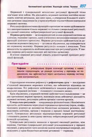 Багатоклітинні організми. Взаємодія клітин. Тканини
Нервовий і гуморальний м еханізм и р е гу л я ц ії ф ун кц ій тісно
пов’язані м іж собою. На діяльність нервової системи постійно впли­
вають х ім іч н і речовини, я к і несе кров, а утворення більш ості х ім іч ­
них речовин і виділення їх у кров перебуває під постійним контролем
нервової системи.
Регуляція ф ізіологічних ф ункцій в організмі не може здійсню вати­
ся з використанням тіл ьки нервової чи тіл ьки гуморальної регуляції,
це єдиний комплекс нейрогуморальної регуляції ф ункцій.
Нервова регуляція —- це координуючий вилив нервової системи на
кліти ни, тканини і органи, один з основних м еханізмів саморегуляції
ф ункцій цілісного організму. Нервова регуляція здійсню ється за до­
помогою нервового імпульсу — це хвиля збудження, що поширюється
по нервовому волокну. Нервова регуляція ш видка і локальна. Така
ш видкість та адресність особливо важ ливі при регуляції рухів. У тва­
рин нервова регуляція охоплює всі системи організму.
В основі нервової регуляції леж ить рефлекторний принцип регу­
л я ц ії ф ункцій.
Пригадайте ......................................................
Рефлекс — універсальна форма взаємодії організму з навко­
лишнім середовищем, це реакція організму у відповідь на по­
дразнення, яка здійснюється через центральну нервову систему
і нею контролюється.
Структурною основою рефлексу є рефлекторна дуга — послідовно
з’єднаний ланцю ж ок нервових кліти н , що забезпечує відповідь на
подразнення. У с і рефлекси здійсню ю ться завдяки діяльності цен­
тральної нервової системи — головного і спинного мозку.
К рім збудження, у нервовій системі здійснюється і гальмування — це
два протилежні нервові процеси, взаємодія яких забезпечує діяльність
нервової системи, регуляцію роботи органів і систем органів.
Гуморальна регуляція — координація ф ізіологічних і біохім ічних
процесів, здійснювана через р ідкі середовища організму (кров, лімфу,
тканинну рідину) за допомогою біологічно активних речовин, я к і
виділяю ть клітини, органи і тканини у процесі їхн ьої ж иттєдіяль­
ності. Гуморальна регуляція підпорядкована нервовій р егуляц ії
і становить разом із нею єдину систему нейрогуморальної регуляції
ф ункцій організму.
Гуморальна регуляція виникла в процесі еволю ції раніш е, н іж
нервова. Система гуморальної регуляції ускладнювалася у процесі
еволю ції, у результаті чого виникли залози внутріш ньої секреції, я к і
виділяю ть у кров біологічно активні речовини — гормони.
 