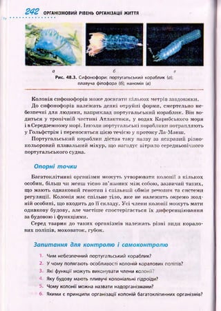 242 ОРГАНІЗМОВИЙ РІВЕНЬ ОРГАНІЗАЦІЇ ЖИТТЯ
а б е
Рис. 48.3. Сифонофори: португальський кораблик {а);
плавуча філофора (б); наномія (в)
Колонія сифонофорів може досягати кількох метрів завдовжки.
До сифонофорів належать деякі отруйні форми, смертельно не­
безпечні для лю дини, наприклад португальський кораблик. В ін во­
диться у тр оп іч н ій частині А тл ан ти к и , у водах Карибського моря
і в Середземному морі. Інколи португальські кораблики потрапляю ть
у Гольф стрім і переносяться цією течією у протоку Л а-М анш .
П ортугальський кораблик дістав таку назву за яскравий різно-
кольоровихї плавальний міхур, що нагадує вітрило середньовічного
португальського судна.
Опорні точки
Б агатокл ітинн і організми мож уть утворювати колон ії з кількох
особин, більш чи менш тісно зв’язаних м іж собою, зазвичай таких,
що маю ть однаковий генотип і спільний обмін речовин та системи
регуляції. Колонія має спільне тіло, яке не належить окремо ж од­
ній особині, що входить до її складу. У с і члени колонії мож уть мати
однакову будову, але частіш е спостерігається їх диференціювання
за будовою і ф ункціями.
Серед тварин до таких організм ів належ ать р ізн і види корало­
вих поліпів, моховаток, губок.
Запитання для контролю і самоконтролю
■Чим небезпечний португальський кораблик?
2. У чому полягають особливості колоній коралових поліпів?
3. Які функції можуть виконувати члени колонії?
4. Яку будову мають пливучі колоніальні гідроїди?
5. Чому колонії можна назвати надорганізмами?
6. Якими є принципи організації колоній багатоклітинних організмів?
 