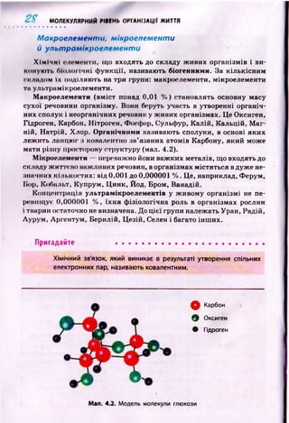 2 S МОЛЕКУЛЯРНИЙ РІВЕНЬ ОРГАНІЗАЦІЇ ЖИТТЯ
Макроелементи, мікроелементи
й ультрамікроелементи
Х і м і ч н і елементи, що входять до складу ж ивих організмів і ви­
коную ть (Молоі іч н і ф ункції, називають біогенними. За к ількісн и м
складом їх поділяю ть на три групи: макроелементи, мікроелементи
та ультрамікроелементи.
Макроелементи (вм іст понад 0,01 %) становлять основну масу
сухої речовини організму. Вони беруть участь в утворенні органіч­
них сполук і неорганічних речовин у ж ивих організмах. Це Оксиген,
Гідроген, Карбон, Нітроген, Фосфор, Сульфур, К алій, Кальцій, М а г­
ній, Н атрій , Хлор. Органічними називають сполуки, в основі яких
леж ить ланцю г з ковалентно зв’язаних атомів Карбону, який може
мати різну просторову структуру (мал. 4.2).
Мікроелементи переважно йони важ ких металів, щ о входять до
складу ж иттєво важ ливих речовин, в організмах м істяться в дуж е не­
значних кількостях: від 0,001 до 0,000001 %. Це, наприклад, Ф ерум,
Hop, Кобальт, Купрум, Ц инк, Йод, Бром, Ванадій.
Концентрація ультрамікроелементів у ж ивом у організм і не пе­
ревищує 0,000001 %, їх н я ф ізіологічна роль в організмах рослин
і тварин остаточно не визначена. До ц іє ї групи належать Уран, Радій,
Л урум, Аргентум, Берилій, Ц езій, Селен і багато інш их.
Пригадайте ....................................................
Хімічний зв'язок, який виникає в результаті утворення спільних
електронних пар, називають ковалентним.
ф Карбон
® Оксиген
• Гідроген
Мал. 4.2. Модель молекули глюкози
 