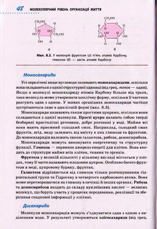 4 % МОЛЕКУЛЯРНИЙ РІВЕНЬ ОРГАНІЗАЦІЇ ЖИТТЯ
СН.ОН
Q II
СН.ОН
I J
с----
І І
н он
б
ОН II
а
Мал. 8.3. У молекулі фруктози (а) п'ять атомів Карбону,
глюкози (б) — шість атомів Карбону
Моносахариди
У с і перелічені вище вуглеводи називають моносахаридами, оскільки
вони складаються з однієї структурної одиниці (від гред. monos — один).
Я кщ о в м олекулі моносахариду атомів Карбону більш е від трьох,
така молекула може утворювати циклічну форму, оскільки її частини
реагують одна з одною. У ж ивих організмах моносахариди частіш е
зустрічаю ться саме в ц и кл іч н ій ф ормі (мал. 8.3).
Моносахариди називають також простими цукрами, оскільки вони
складаються з однієї молекули. Прості цукри являю ть собою тверді
безбарвні кри сталічн і речовини, добре розчинні у воді. М айж е всі
вони маю ть приємний солодкий смак. Н априклад, солодкий смак
ф руктів, ягід, меду залежить від вм істу в них глю кози та фруктози.
До моносахаридів належать також галактоза, рибоза, дезоксирибоза.
М оносахариди м о ж уть виконувати енергетичну та структурну
ф ункції. Глюкоза — первинне джерело енергії для кліти н. Вона вхо­
дить до структури майж е всіх кліти н, тканин та органів.
Фруктоза у великій кількості у вільному вигляді м іститься у пло­
дах, тому її часто називають плодовим цукром. Особливо багато ф рук­
този в меді, цукровому буряку, ф руктах.
Галактоза відрізняється від глю кози тіл ьк и розташ уванням гід ­
роксильної групи та Гідрогену в четвертого карбонового атома. Вона
може перетворюватися на глю козу в печінці й ін ш и х органах. Рибоза
та дезоксирибоза входять до складу нуклеїнових кислот — великих
молекул, що беруть участь у процесах передавання, реалізації та збе­
рігання спадкової інф орм ації у к л іти н і.
Дисахариди
М олекули моносахаридів мож уть з’єднуватися одна з одною з ви­
діленням води. У результаті утворю ю ться олігосахариди (від грец.
 