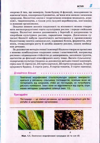 ВСТУП
зокрема й тих, що вимерли, їхн ю будову й ф ункції, походження та
взаємозв’язки, поширення й розвиток, зв’язки м іж ж ивою і неживою
природою. Б іологічн і науки є теоретичною основою медицини, агро­
н ом ії, тваринництва, а також усіх галузей виробництва, пов’язаних
із ж ивим и організмами.
Завдяки знанню законів спадковості та мінливості можна створю­
вати високопродуктивні сорти культурних рослин і породи свійських
тварин. Біологічні знання допомагають у боротьбі зі ш кідниками та
хворобами культурних рослин, паразитами тварин. Досягнення су­
часної б іо л о гії набули практичного застосування у промисловому
біологічному синтезі амінокислот, кормових білків, ф ерментів, віта­
м інів, стим уляторів росту й засобів захисту рослин, інш их необхід­
них речовин.
За допомогою методів генної інж енерії біологи створили організми
з новими ком бінаціям и спадкових ознак і властивостей, наприклад
рослини з підвищ еною стій к істю до захворювань, засолення ґрунтів,
здатністю до ф іксац ії атмосферного азоту тощ о. Багато сільськогос­
подарських культур створено за допомогою методів генної інж енерії,
серед них 11 сортів сої, 24 сорти картоплі, 32 сорти кукурудзи, 3 сорти
цукрового буряку, 5 сортів рису, 8 сортів томатів, 3 сорти пш ениці.
Дізнайтеся більше ...........................................................
Генетично модифіковані сільгоспкультури широко використо­
вуються у світовому сільському господарстві, оскільки вони не
потерпають від шкідників, стійкі до пестицидів, не потребують
рясного поливання. Зовні вони не відрізняються від сортів, отри­
маних методами традиційної селекції (мал. 1.1).
Пригадайте ........................................................
Пестициди — це хімічні речовини, що використовуються для бо­
ротьби зі шкідливими організмами.
а б
Мал. 1.1. Генетично модифіковані кукурудза (а) та соя (6)
 