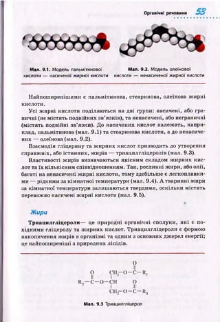 Органічні речовини
Man. 9.1. Модель пальмітинової Man. 9.2. Модель олеїнової
кислоти — насиченої жирної кислоти кислоти — ненасиченої жирної кислоти
Н айпош иреніш им и є пальмітинова, стеаринова, олеїнова ж и р н і
кислоти.
У с і ж и р н і кислоти поділяю ться на дві групи: насичені, або гра­
ничн і (не м істять подвійних зв’язків), та ненасичені, або неграничні
(м істять подвійні зв’язки). До насичених кислот належать, напри­
клад, пальмітинова (мал. 9.1) та стеаринова кислоти, а до ненасиче-
них — олеїнова (мал. 9.2).
Взаємодія гліцерину та ж ирних кислот призводить до утворення
справж ніх, або істинних, ж и р ів — триацилгліцеролів (мал. 9.3).
Властивості ж и р ів визначаються як існ и м складом ж ирн их к и с­
лот та їх к ількісн и м співвіднош енням. Так, рослинні ж ири, або олії,
багаті на ненасичені ж и р н і кислоти, тому здебільше є легкоплавки­
м и — рідким и за к ім н атн ої температури (мал. 9.4). А тваринні ж ири
за кім н атн ої температури залиш аю ться твердими, оскільки м істять
переважно насичені ж и р н і кислоти (мал. 9.5).
Жири
Триацилгліцероли— це природні ор ган ічн і сполуки, я к і є по­
хідн и м и гліцеролу та ж ирних кислот. Триацилгліцероли є формою
накопичення ж и р ів в організм і та одним з основних джерел енергії;
це найпош иреніш і з природних ліп ід ів.
О
II
О СН.Г- о — с — R,
II ' І 2 '
R ,— С - О - С Н О
2 I II
с н —О - c —R3
Man. 9.3 Триацилгліцерол
 
