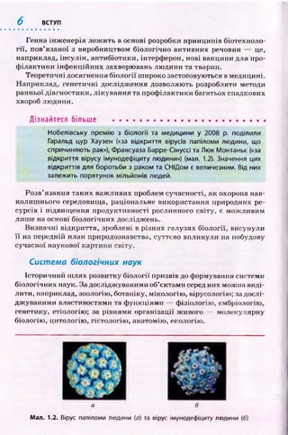 6 ВСТУП
Генна інж енерія леж ить в основі розробки принципів біотехноло-
гії, пов’язаної з виробництвом біологічно активних речовин — це,
наприклад, інсулін , антибіотики, інтерферон, нові вакцини для про­
ф ілактики інф екц ійних захворювань лю дини та тварин.
Теоретичні досягнення біології широко застосовуються в медицині.
Наприклад, генетичні дослідж ення дозволяють розробляти методи
ранньої діагностики, лікування та проф ілактики багатьох спадкових
хвороб лю дини.
Дізнайтеся більше ...........................................................
Нобелівську премію з біології та медицини у 2008 р. поділили
Гаральд цур Хаузен («за відкриття вірусів папіломи людини, що
спричиняють рак»), Франсуаза Барре-Сінуссі та Люк Монтаньє («за
відкриття вірусу імунодефіциту людини») (мал. 1.2). Значення цих
відкриттів для боротьби з раком та СНІДом є величезним. Від них
залежить порятунок мільйонів людей.
Розв’язання таких важ ливих проблем сучасності, я к охорона нав­
колиш нього середовища, раціональне використання природних ре­
сурсів і підвищ ення продуктивності рослинного світу, є мож ливим
лиш е на основі біологічних досліджень.
Визначні відкриття, зроблені в різних галузях біології, висунули
ї ї на передній план природознавства, суттєво вплинули на побудову
сучасної наукової картини світу.
Система біологічних наук
Історичний ш лях розвитку біології призвів до формування системи
біологічних наук. За досліджуваними об’єктами серед них можна виді­
лити, наприклад, зоологію, ботаніку, м ікологію , вірусологію; за дослі­
дж уваними властивостями та ф ункціями — ф ізіологію , ембріологію,
генетику, етіологію ; за рівнями організації ж ивого — молекулярну
біологію, цитологію , гістологію , анатомію, екологію.
а б
Мал. 1.2. Вірус папіломи людини (а) та вірус імунодефіциту людини (б)
 