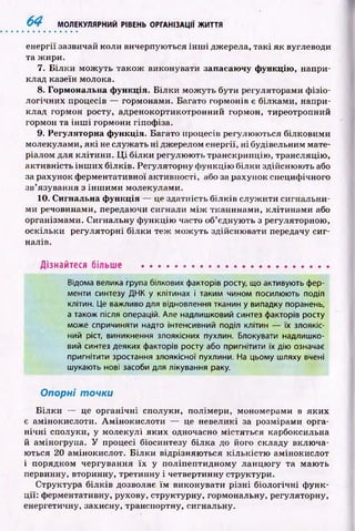 6 4 МОЛЕКУЛЯРНИЙ РІВЕНЬ ОРГАНІЗАЦІЇ ЖИТТЯ
енергії зазвичай коли вичерпуються ін ш і джерела, так і як вуглеводи
та ж ири.
7. Б іл к и мож уть також виконувати запасаючу функцію, напри­
клад казеїн молока.
8. Гормональна функція. Б ілки мож уть бути регуляторами ф ізіо­
логічних процесів — гормонами. Багато гормонів є білками, напри­
клад гормон росту, адренокортикотроиний гормон, тиреотропний
гормон та ін ш і гормони гіпоф іза.
9. Регуляторна функція. Багато процесів регулю ються білковими
молекулами, я к і не служ ать н і джерелом енергії, н і будівельним мате­
ріалом для кліти н и. Ц і білки регулю ю ть транскрипцію , трансляцію ,
активність ін ш и х білків. Регуляторну ф ункцію білки здійсню ю ть або
за рахунок ф ерментативної активності, або за рахунок специф ічного
зв’язування з ін ш и м и молекулами.
10. Сигнальна функція — це здатність б іл к ів служ ити сигнальни­
ми речовинами, передаючи сигнали м іж тканинами, кліти н ам и або
організмами. Сигнальну ф ункцію часто об’єдную ть з регуляторною,
оскільки регуляторні білки теж мож уть здійсню вати передачу си г­
налів.
Дізнайтеся більше ......................................................
Відома велика група білкових факторів росту, що активують фер­
менти синтезу ДНК у клітинах і таким чином посилюють поділ
клітин. Це важливо для відновлення тканин у випадку поранень,
а також після операцій. Але надлишковий синтез факторів росту
може спричиняти надто інтенсивний поділ клітин — їх злоякіс­
ний ріст, виникнення злоякісних пухлин. Блокувати надлишко­
вий синтез деяких факторів росту або пригнітити їх дію означає
пригнітити зростання злоякісної пухлини. На цьому шляху вчені
шукають нові засоби для лікування раку.
Опорні точки
Б ілки — це органічні сполуки, полімери, мономерами в яких
є амінокислоти. А м іноки слоти — це невеликі за розмірами орга­
н іч н і сполуки, у молекулі яких одночасно містяться карбоксильна
й аміногрупа. У процесі біосинтезу білка до його складу вклю ча­
ються 20 амінокислот. Б ілки відрізняю ться кількістю амінокислот
і порядком чергування їх у поліпептидному ланцю гу та маю ть
первинну, вторинну, третинну і четвертинну структури.
Структура білків дозволяє їм виконувати р ізн і біологічні ф унк­
ції: ферментативну, рухову, структурну, гормональну, регуляторну,
енергетичну, захисну, транспортну, сигнальну.
 