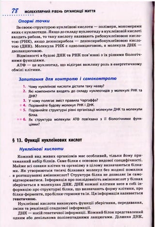 7% МОЛЕКУЛЯРНИЙ РІВЕНЬ ОРГАНІЗАЦІЇ ЖИТТЯ
Опорні точки
За своєю структурою нуклеїнові кислоти — полімери, мономерами
яких є нуклеотиди. Я кщ о до складу нуклеотиду в нуклеїновій кислоті
входить рибоза, то таку кислоту називають рибонуклеїновою кисло­
тою (РН К ), якщ о дезоксирибоза — дезоксирибонуклеїновою кисло­
тою (ДНК). М олекула Р Н К є одноланцюговою, а молекула Д Н К —
дволандюговою.
В ідм ін н ості в будові Д Н К та Р Н К пов’язані з їх різними біологіч­
ними ф ункціями.
А Т Ф — це нуклеотид, що відіграє важ ливу роль в енергетичному
обм ін і клітини.
Запитання для контролю і самоконтролю
1. Чому нуклеїнові кислоти дістали таку назву?
2. Які компоненти входять до складу нуклеотидів у молекулі РНК та
ДНК?
3. У чому полягає зміст правила Чаргаффа?
4. Порівняйте будову молекул РНК і ДНК.
5. Порівняйте структурні рівні організації молекули ДНК та молекули
білка.
6. Як структура молекули АТФ пов'язана з її біологічними функ­
ціями?
§13. Функції нуклеїнових кислот
Нуклеїнові кислоти
К ож н ий вид ж иви х організмів має особливий, тіл ьк и йому при­
таманний набір білків. Саме білки є основою видової специф ічності.
М айж е всі ознаки к л іти н та організму в ц ілом у визначаються білка­
ми. Я к утворюються ти сячі білкових молекул без ж одної помилки
в розташ уванні амінокислот? Структура білка не дозволяє їм само-
відтворюватися. Інф ормація про послідовність амінокислот у білках
зберігається в молекулах Д Н К . Д Н К кож н ої к літи н и несе в собі ін ­
формацію про структурні білки, що визначають ф орму кліти ни, про
білки-ферменти, про білки-гормони та ін. Ц я інф ормація називається
генетичною.
Н уклеїнові кислоти виконую ть ф ун кц ії зберігання, передавання,
зм ін и та реалізації спадкової інф ормації.
Д Н К — носій генетичної інф ормації. К ож н ий білок представлений
одним або декількома поліпептидними ланцю гами. Д іл ян ка Д Н К ,
 