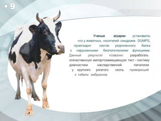 Топ-10 важнейших достижений белорусских учёных в 2012 году