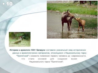 Топ-10 важнейших достижений белорусских учёных в 2012 году