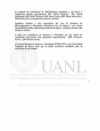 Al personal del Laboratorio de Microbiología Industrial y del Suelo y
compañeros tesistas especialmente: MC. Carlos Sandoval, MC. Lupita
Maldonado, QBP. Lilith Villarreal, QBP. Juany Cantú, QBP. Diana Monsivais y
Elodia Ruíz por su compañerismo, apoyo y amistad.
Agradezco también a mis compañeros del Lab. de Genética de
Microorganismos y Bioquímica Microbiana que de alguna u otra forma
intercambiaron ideas, sugerencias palabras de apoyo y consejos durante este
tiempo de estudio.
A todos mis compañeros de Maestría y Doctorado con los cuales he
compartido experiencias muy agradables especialmente: QFB. Genoveva
Ancer y QBP Gerardo García.
Al Consejo Nacional de Ciencia y Tecnología (CONACYT) y a la Universidad
Autónoma de Nuevo León por el apoyo económico brindado para la
realización de este trabajo.
 