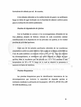 formadoras de colonia por mi. de muestra.
A las colonias obtenidas se les realizó tinción de gram y se sembraron
luego en tubos de agar inclinado con la finalidad de obtener cultivos puros
para la realización de análisis posteriores.
Pruebas de degradación de Quitina
Con la finalidad de conocer si los microorganismos obtenidos de las
tiras plásticas después de haberse retirado de cada ecosistema estaban
contribuyendo en la degradación de las películas con quitina, se les realizó
pruebas de actividad quitinasa.
Cada uno de los aislados purificados obtenidos de los ecosistemas
estudiados se activó en caldo nutritivo (una asada de la colonia se sembró en
3 mi. de caldo nutritivo y se inoculó 24 hrs a 35 - 37 °C). Una vez crecidos
los microorganismos, se sembraron por estria cruzada en placas de agar
quitina, éstas se incubaron por un periodo de 1 a 1 1/2 semanas a una
temperatura de 35 a 37 °C luego de lo cual se observó la presencia o
ausencia de halos de hidrólisis.
Pruebas Bioquímicas
Las pruebas bioquímicas para la identificación taxonómica de los
microorganismos que tuvieron la capacidad de degradar quitina se
realizaron mediante la utilización de los paquetes API 20 E, API 50 CH y API
50 CHB (bioMérieux, S.A)
 