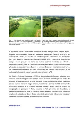www.aptaregional.sp.gov.br
ISSN 2316-5146
Pesquisa & Tecnologia, vol. 12, n. 1, Jan-Jun 2015
Fig. 1 – Vista aérea do Setor de Zootecnia do Pólo Vale do
Paraíba. Uso atual: iLP - sorgo e pastagem e à direita área
degradada em recuperação. Área: 12ha de iLPS manejado
com cercas elétricas.
Fig. 2 - Uso atual: Pastagem extensiva, à esquerda alameda
de eucaliptos na estrada interna de acesso à Rodovia
Presidente Dutra. Área: 58 ha ideal para iLPS com piquetes
fixos.
É importante avaliar o componente arbóreo em diversos arranjos: linhas simples, duplas,
bosques com arborização natural em pastagens restauradas. Enquanto as árvores se
desenvolvem é feito o uso agrícola nos corredores (aléias) e os animais são transferidos
para outra área com o solo já recuperado e convertido em iLP. Culturas de cobertura em
rotação devem produzir um manto de matéria orgânica reciclando os nutrientes.
Dependendo da velocidade de crescimento das espécies florestais (dois a quatro anos) são
planejados os ciclos de rotação. Quando os animais não causam mais injúrias nas árvores,
as forrageiras são semeadas em maior profundidade em conjunto com adubação ou da
cultura agrícola, estando o solo recuperado e convertido em iLPS.
No Brasil, a Embrapa Florestas e a APTA do Noroeste Paulista fornecem subsídios para
expandir essas tecnologias quase sempre com o eucalipto, havendo poucos relatos de
emprego de espécies nativas (araribá, guanandi, mogno, seringueira e outras) e exóticas
(acácia negra e mangium, mogno-africano, macadâmia e outras). Na iLPS o braquiarão
(Brachiaria brizantha) é a principal gramínea utilizada, assim como no projeto de
recuperação de pastagem do Pólo, enquanto no Vale predomina B. decumbens, e
pesquisas realizadas com apoio da Fundação Agrisus revelaram vantagens da B. ruziziensis
amplamente utilizada no Centro Oeste pela rápida germinação, não precisa incorporar
sementes, não forma touceiras e cobre o solo mais uniforme.
 