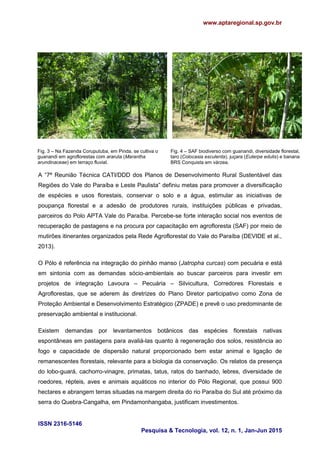 www.aptaregional.sp.gov.br
ISSN 2316-5146
Pesquisa & Tecnologia, vol. 12, n. 1, Jan-Jun 2015
Fig. 3 – Na Fazenda Coruputuba, em Pinda. se cultiva o
guanandi em agroflorestas com araruta (Marantha
arundinaceae) em terraço fluvial.
Fig. 4 – SAF biodiverso com guanandi, diversidade florestal,
taro (Colocasia esculenta), juçara (Euterpe edulis) e banana
BRS Conquista em várzea.
A “7ª Reunião Técnica CATI/DDD dos Planos de Desenvolvimento Rural Sustentável das
Regiões do Vale do Paraíba e Leste Paulista” definiu metas para promover a diversificação
de espécies e usos florestais, conservar o solo e a água, estimular as iniciativas de
poupança florestal e a adesão de produtores rurais, instituições públicas e privadas,
parceiros do Polo APTA Vale do Paraíba. Percebe-se forte interação social nos eventos de
recuperação de pastagens e na procura por capacitação em agrofloresta (SAF) por meio de
mutirões itinerantes organizados pela Rede Agroflorestal do Vale do Paraíba (DEVIDE et al.,
2013).
O Pólo é referência na integração do pinhão manso (Jatropha curcas) com pecuária e está
em sintonia com as demandas sócio-ambientais ao buscar parceiros para investir em
projetos de integração Lavoura – Pecuária – Silvicultura, Corredores Florestais e
Agroflorestas, que se aderem às diretrizes do Plano Diretor participativo como Zona de
Proteção Ambiental e Desenvolvimento Estratégico (ZPADE) e prevê o uso predominante de
preservação ambiental e institucional.
Existem demandas por levantamentos botânicos das espécies florestais nativas
espontâneas em pastagens para avaliá-las quanto à regeneração dos solos, resistência ao
fogo e capacidade de dispersão natural proporcionado bem estar animal e ligação de
remanescentes florestais, relevante para a biologia da conservação. Os relatos da presença
do lobo-guará, cachorro-vinagre, primatas, tatus, ratos do banhado, lebres, diversidade de
roedores, répteis, aves e animais aquáticos no interior do Pólo Regional, que possui 900
hectares e abrangem terras situadas na margem direita do rio Paraíba do Sul até próximo da
serra do Quebra-Cangalha, em Pindamonhangaba, justificam investimentos.
 