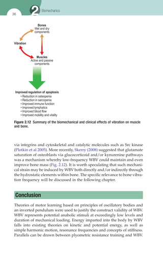 Using Whole Body Vibration In Physical Therapy And Sport Albasini A | PDF