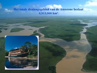 Het totale drainagegebied van de Amazone beslaat  6,915,000 km². 