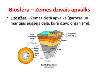 Biosfēra – Zemes dzīvais apvalks 
• Litosfēra – Zemes cietā apvalka (garozas un 
mantijas augšējā daļa, kurā dzīvo organismi), 
 
