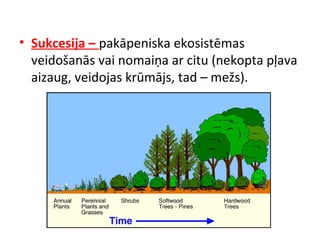 • Sukcesija – pakāpeniska ekosistēmas 
veidošanās vai nomaiņa ar citu (nekopta pļava 
aizaug, veidojas krūmājs, tad – mežs). 
 