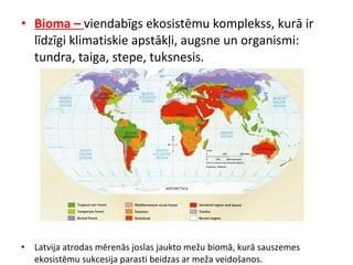 • Bioma – viendabīgs ekosistēmu komplekss, kurā ir 
līdzīgi klimatiskie apstākļi, augsne un organismi: 
tundra, taiga, stepe, tuksnesis. 
• Latvija atrodas mērenās joslas jaukto mežu biomā, kurā sauszemes 
ekosistēmu sukcesija parasti beidzas ar meža veidošanos. 
 