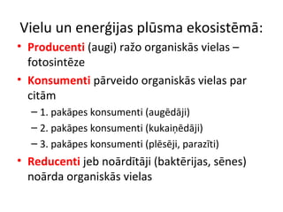 Vielu un enerģijas plūsma ekosistēmā: 
• Producenti (augi) ražo organiskās vielas – 
fotosintēze 
• Konsumenti pārveido organiskās vielas par 
citām 
– 1. pakāpes konsumenti (augēdāji) 
– 2. pakāpes konsumenti (kukaiņēdāji) 
– 3. pakāpes konsumenti (plēsēji, parazīti) 
• Reducenti jeb noārdītāji (baktērijas, sēnes) 
noārda organiskās vielas 
 