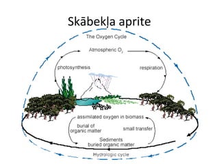 Skābekļa aprite 
 