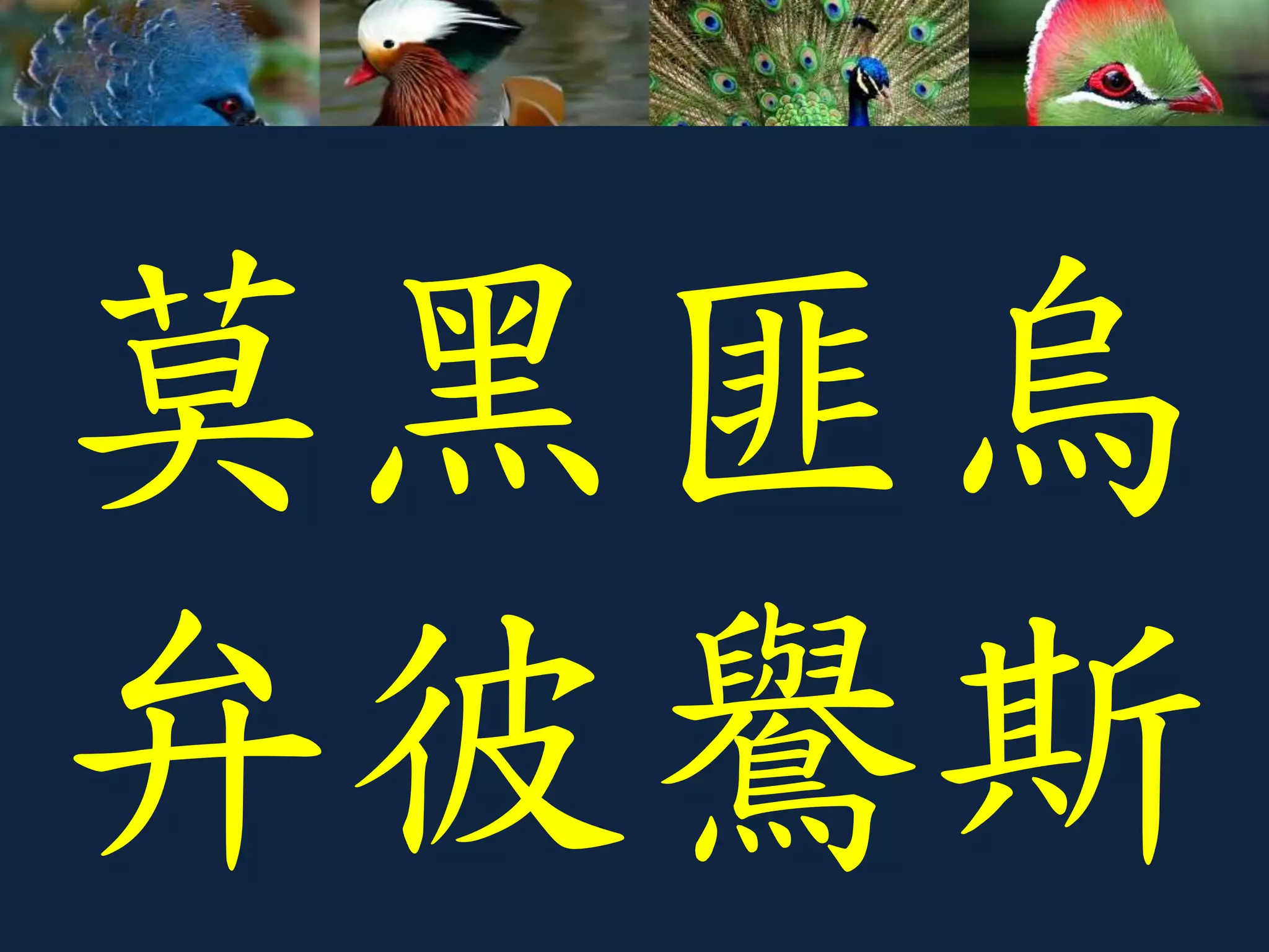 莫黑匪烏
弁彼鸒斯
 