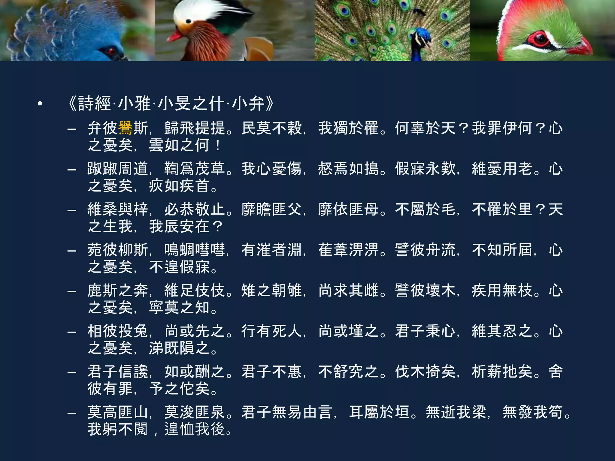 • 《詩經·小雅·小旻之什·小弁》
– 弁彼鸒斯，歸飛提提。民莫不穀，我獨於罹。何辜於天？我罪伊何？心
之憂矣，雲如之何！
– 踧踧周道，鞫爲茂草。我心憂傷，惄焉如搗。假寐永歎，維憂用老。心
之憂矣，疢如疾首。
– 維桑與梓，必恭敬止。靡瞻匪父，靡依匪母。不屬於毛，不罹於里？天
之生我，我辰安在？
– 菀彼柳斯，鳴蜩嘒嘒，有漼者淵，萑葦淠淠。譬彼舟流，不知所屆，心
之憂矣，不遑假寐。
– 鹿斯之奔，維足伎伎。雉之朝雊，尚求其雌。譬彼壞木，疾用無枝。心
之憂矣，寧莫之知。
– 相彼投兔，尚或先之。行有死人，尚或墐之。君子秉心，維其忍之。心
之憂矣，涕既隕之。
– 君子信讒，如或酬之。君子不惠，不舒究之。伐木掎矣，析薪扡矣。舍
彼有罪，予之佗矣。
– 莫高匪山，莫浚匪泉。君子無易由言，耳屬於垣。無逝我梁，無發我笱。
我躬不閱，遑恤我後。
 