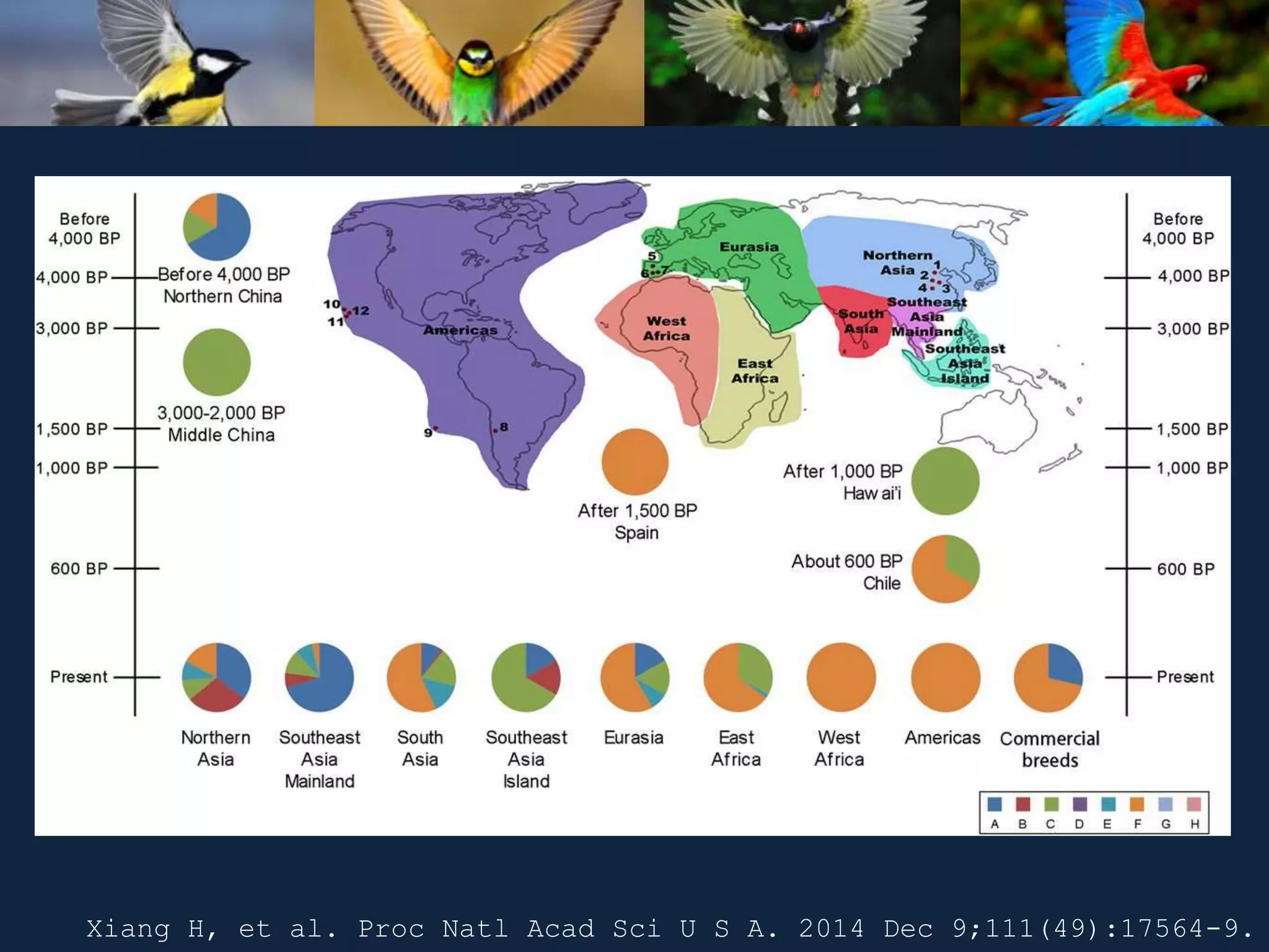Xiang H, et al. Proc Natl Acad Sci U S A. 2014 Dec 9;111(49):17564-9.
 