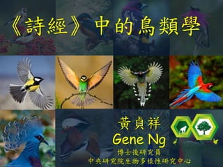Sؑ
Gene Ng
ʿоT
оԺо
ԊеBW
 
