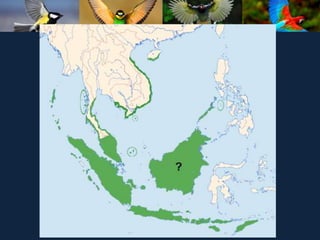 ʫеѧ 