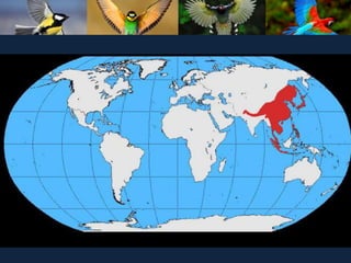 ʫеѧ 