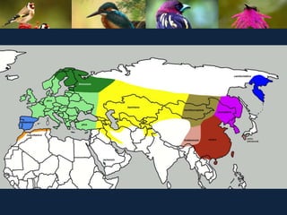 ʫеѧ 