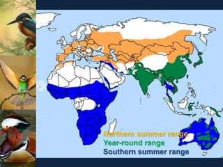 Northern summer range
Year-round range
Southern summer range
 