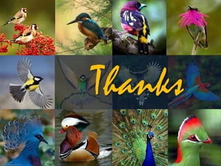 Thanks
 