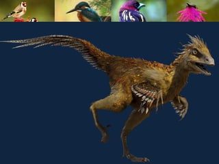 ʫеѧ 