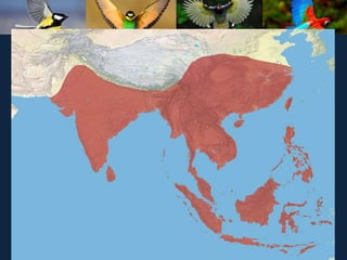 ʫеѧ 