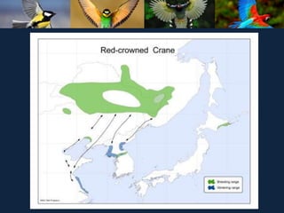 ʫеѧ 