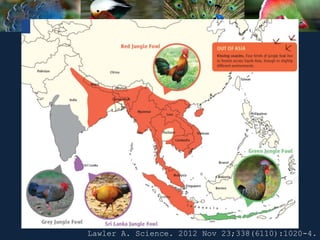Lawler A. Science. 2012 Nov 23;338(6110):1020-4.
 