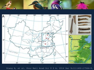 Xiang H, et al. Proc Natl Acad Sci U S A. 2014 Dec 9;111(49):17564-9.
 