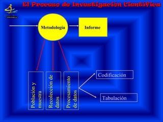 Metodología Informe
Procesamiento
dedatos
Poblacióny
muestra
Recolecciónde
datos
Tabulación
Codificación
El Proceso de Investigación CientíficaEl Proceso de Investigación Científica
 