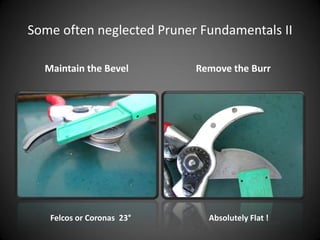 Some often neglected Pruner Fundamentals II
Maintain the Bevel Remove the Burr
Felcos or Coronas 23° Absolutely Flat !
 